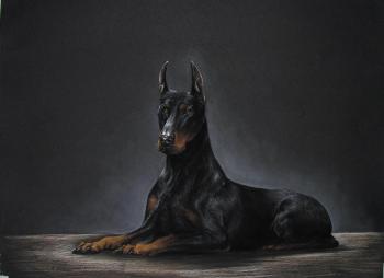 ������� ��������� ������