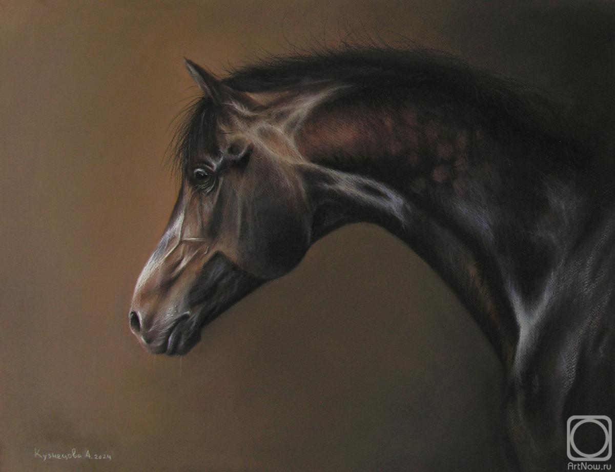 �������. ��������� ���������. ������� �������