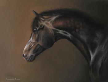 ������� �������� �������