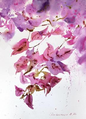 Bougainvillea Dream. Gorbacheva Evgeniya