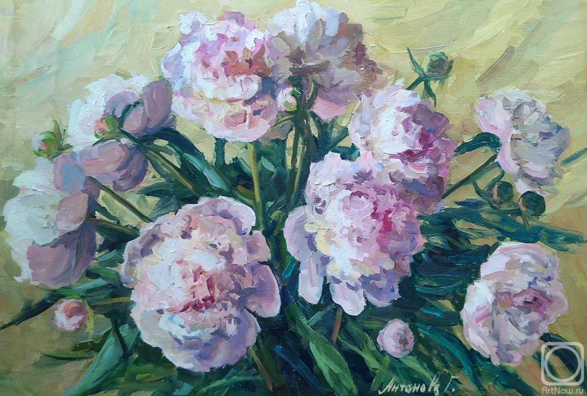 ������� ������ �� ������. �������� ������. ����� �������