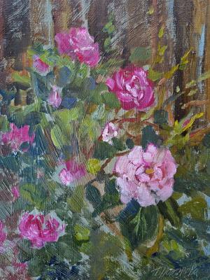 ������� �������� ����