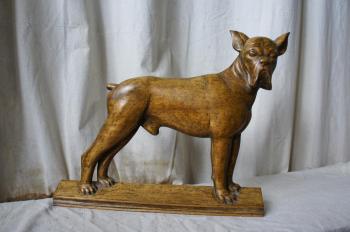 ������. �������� �������