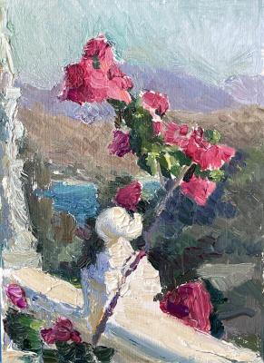 ���� �� �������. ������ ������