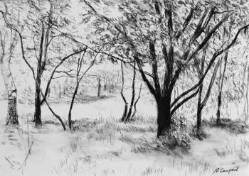 Summer landscape with oak tree