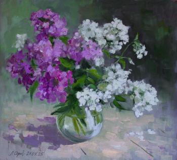 ������� ������ �������