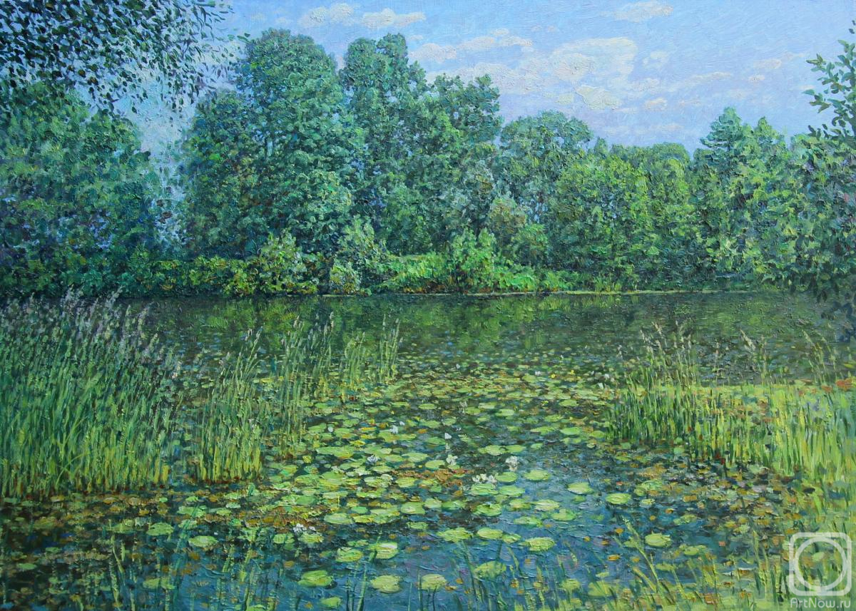 ������� ������ �� ������. ���������� ������. ������ ���� �� �����