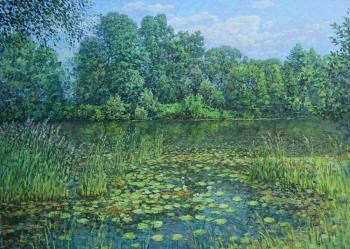 ������� ������� ���� �� �����