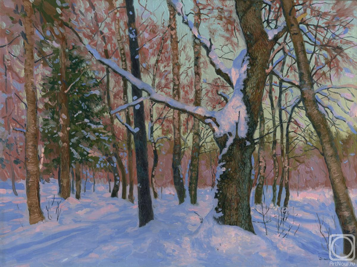 Kozhin Simon. Winter day