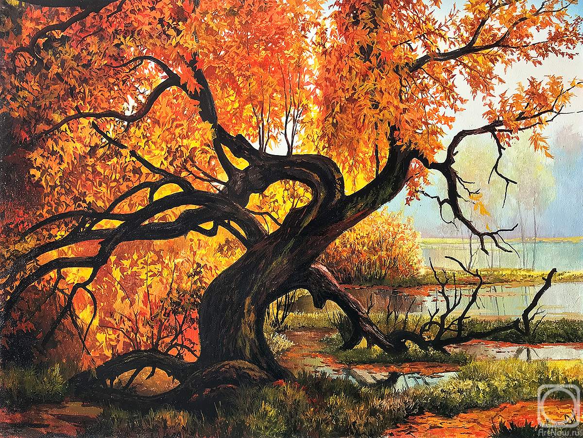 ������� ������ �� ������. �������� ��������. ����� �������