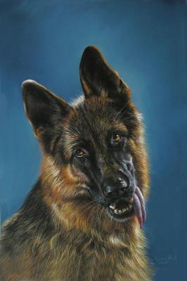 ������� �������. ��������� ���������