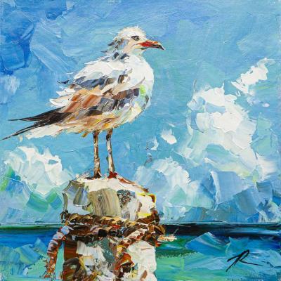 Seagull. A determined look (A Look). Rodries Jose