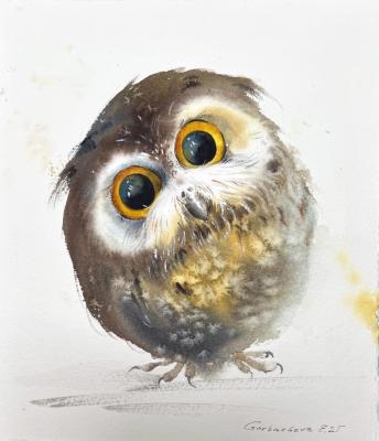 ������� �������� �� ������ �����