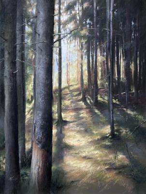 ���-����� ���������� ������