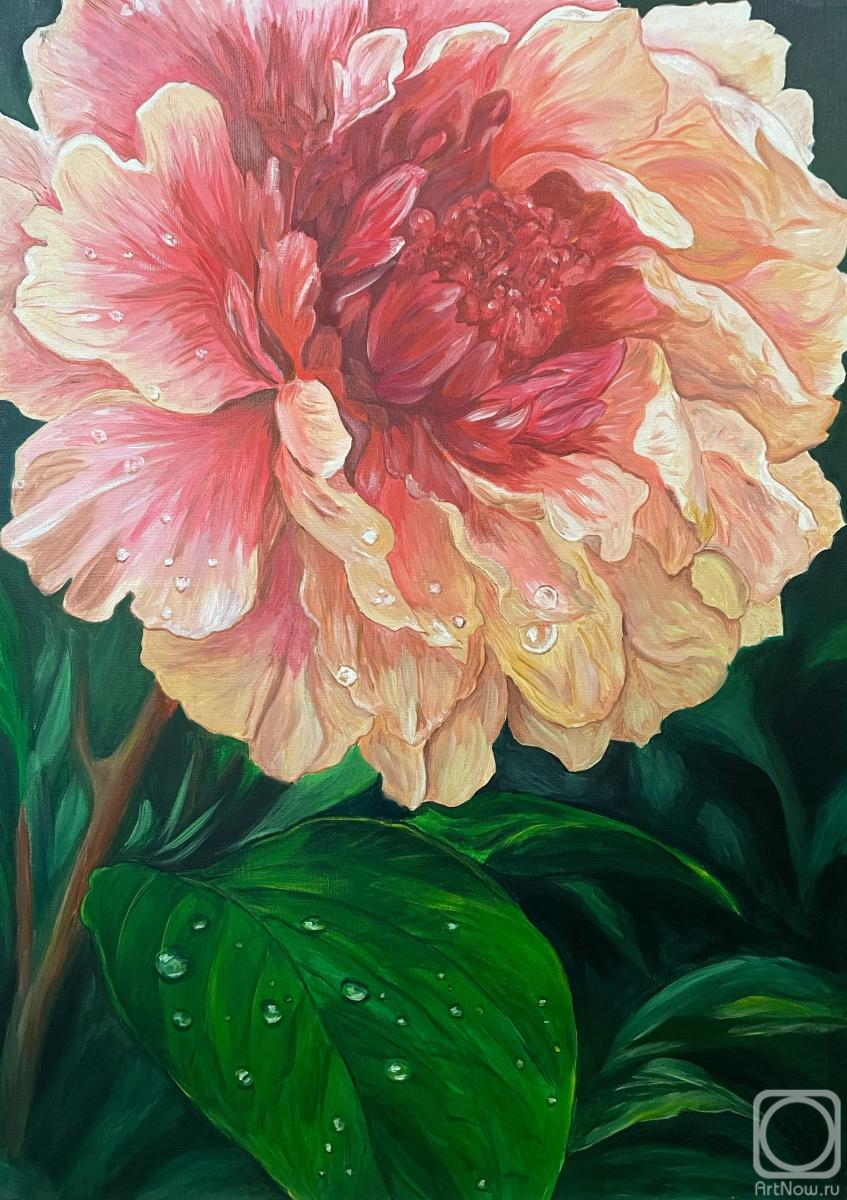 Utlyakova Anastasiya. Petals of rain