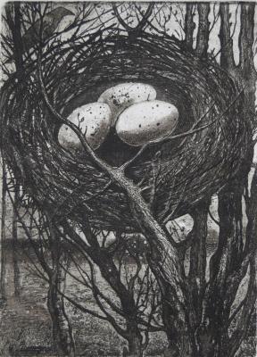 Untitled. Kashin Maksim