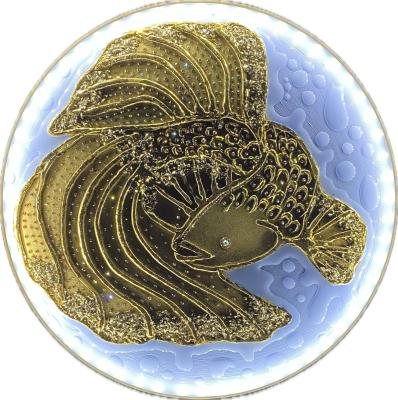 Untitled. Cherkasova Olga