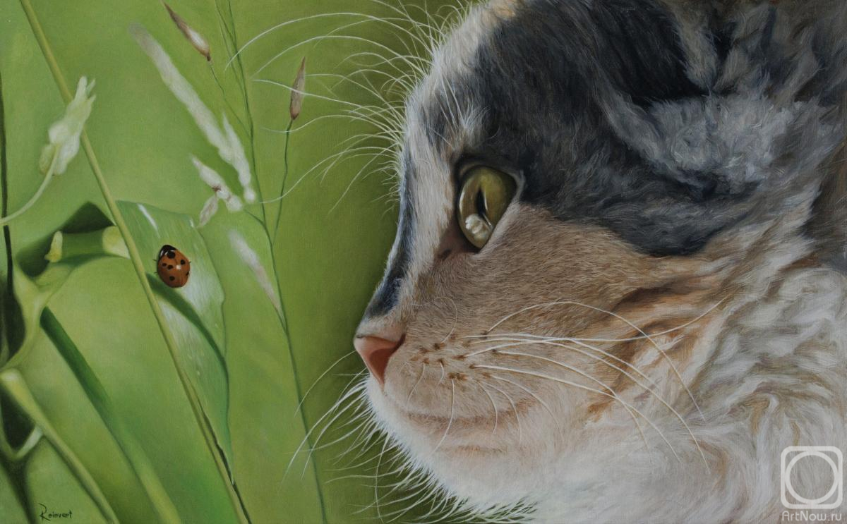 ������� ������ �� ������. �������� ������. ����������� �������