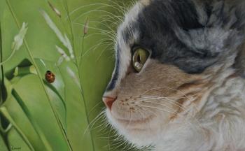 ����������� �������. �������� ������