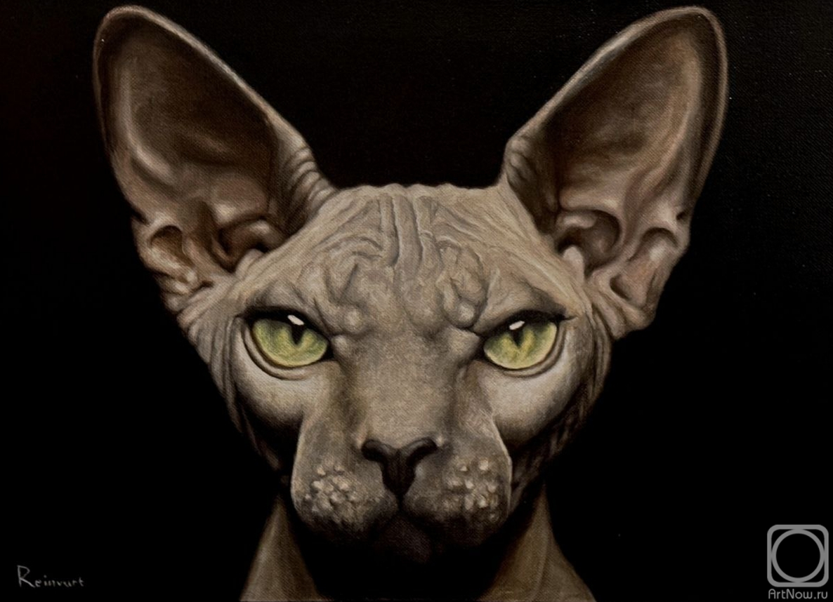 ������� ������ �� ������. �������� ������. ������