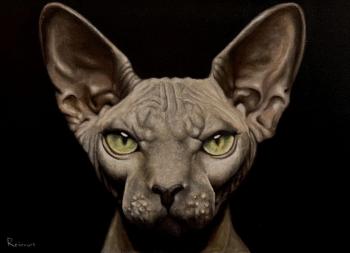 ������� �������