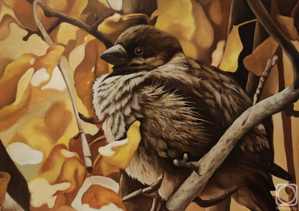 ������� ������ �� ������. �������� ������. ������� �������