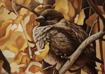 ������� �������� �������