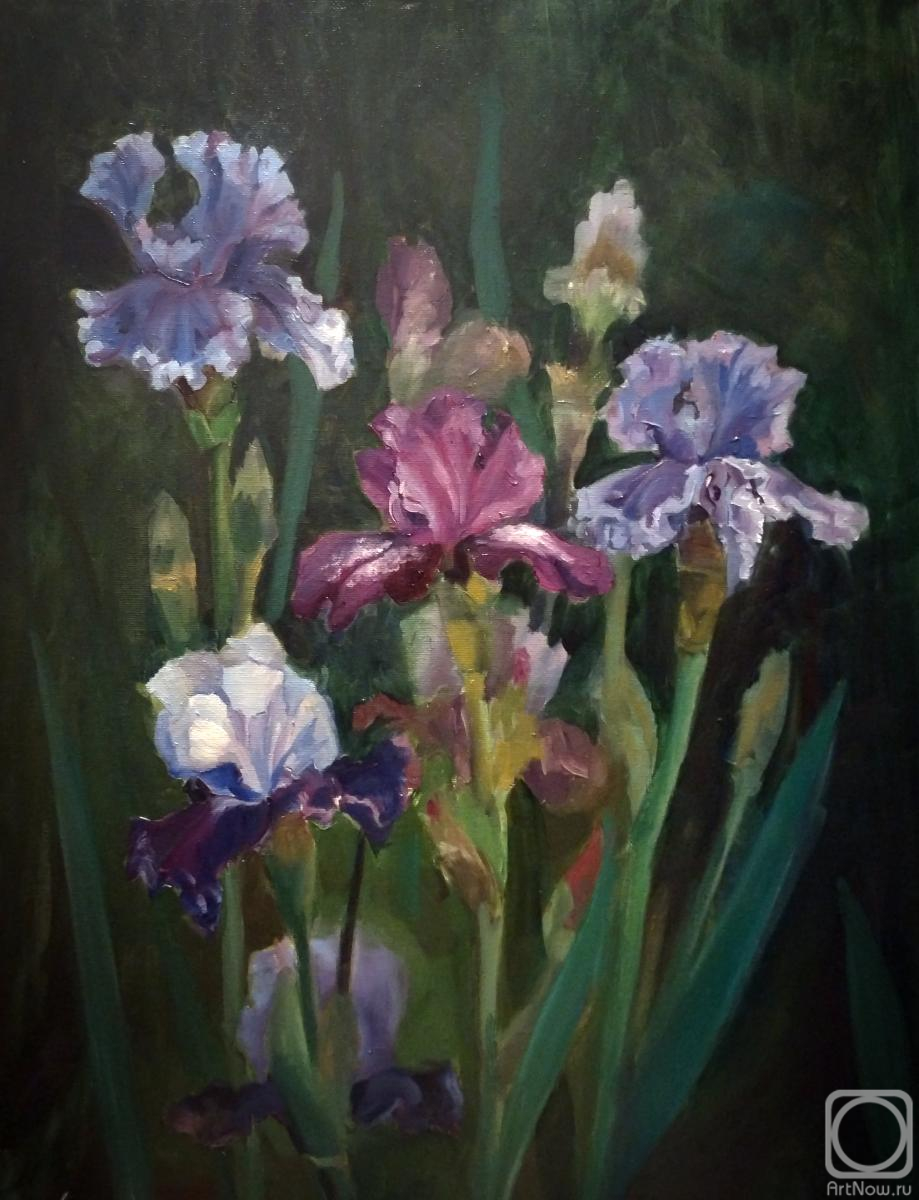 ������� ������ �� ������. �������� �����. �����