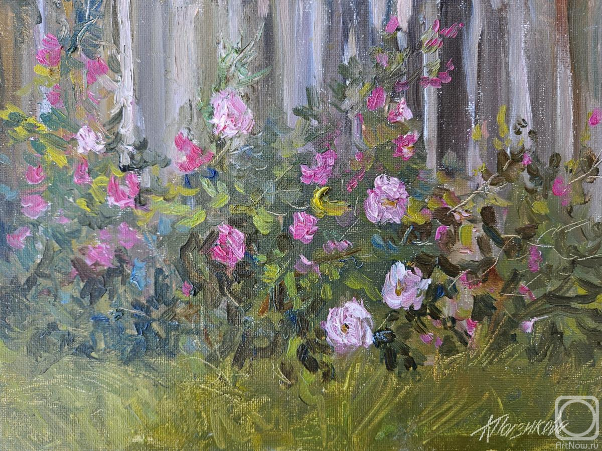 ������� ������ �� ������. ��������� ������. �� ����� ���� � �������