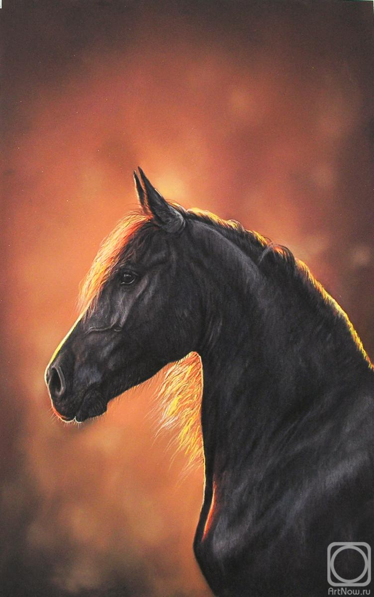 �������. ��������� ���������. �������� ������