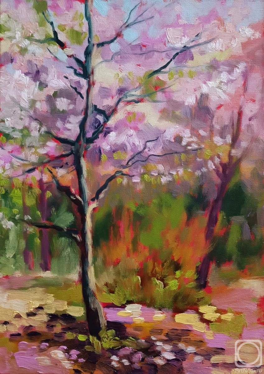 ������� ������ �� ������. ��������� ���������. �������� ������