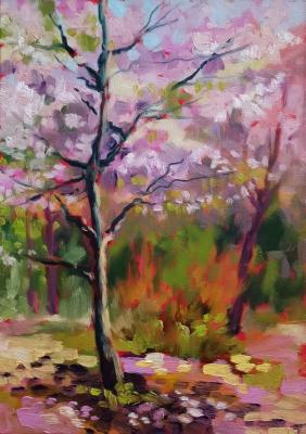 Cherry blossom. Akinshina Anastasia