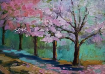 Sakura at dusk. Akinshina Anastasia