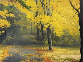 ������� ��� ��������. �������� ��������