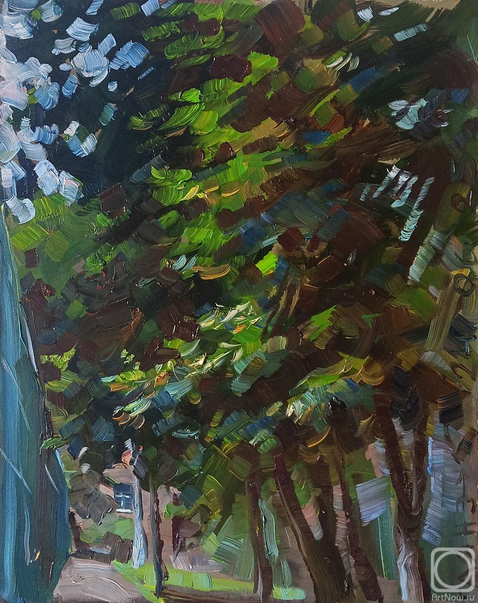 �������. ������������� �����. ����, �������� ���� �� �����