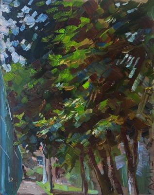 Summer, blooming linden trees in the yard. Dobrovolskaya Gayane