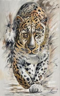 ���� �������. ����� �����