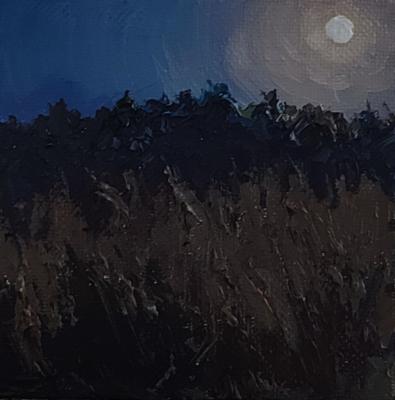 ����. ���������� �������