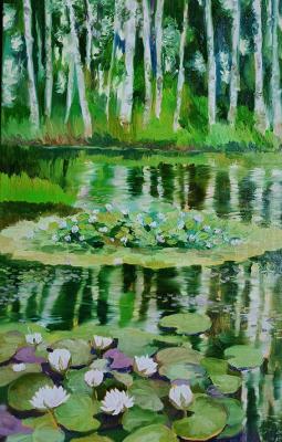 ������� ������ � ����������