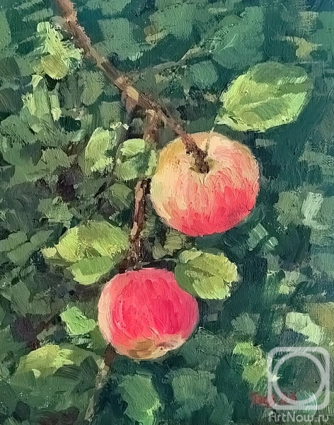 ������� ������ �� ������. ���������� ������. ������ ������ �� �����