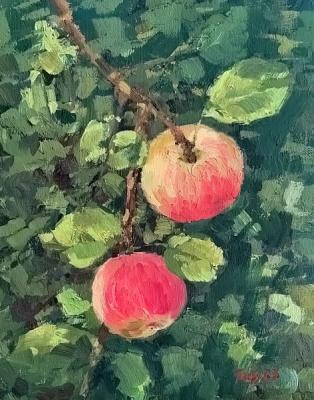 ������� ������� ������ �� �����