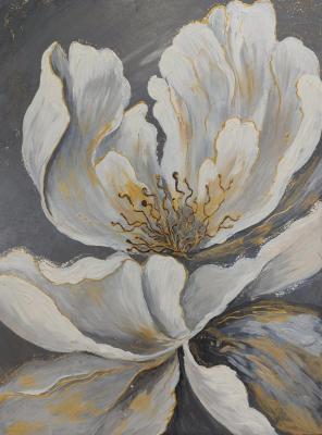 ���������. �������� �����