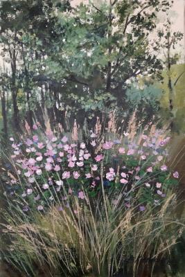 ������ ����. �������� ����