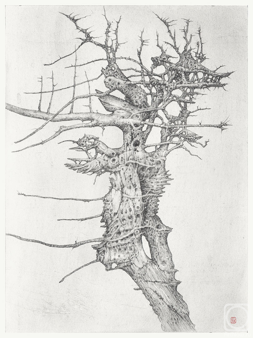 �������. ������� ������. ����� ���