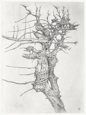 ������� ������ ���