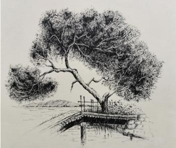 �����. ������� ��������