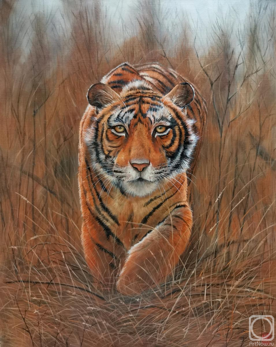 ������� ������ �� ������. ������� ��������. ����