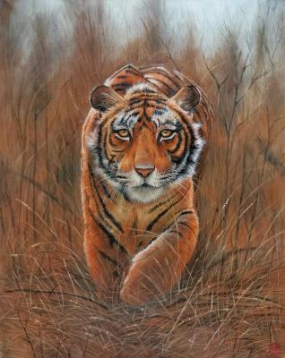 ������� �����