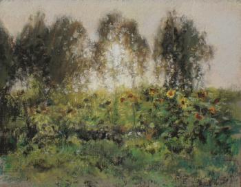 ����������. �����