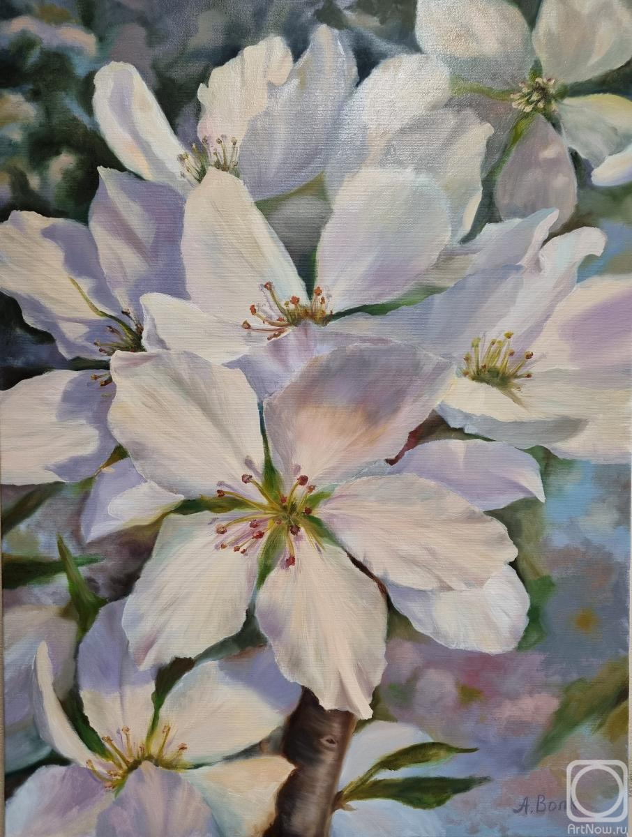 ������� ������ �� ������. ������� �����. �������� ����������